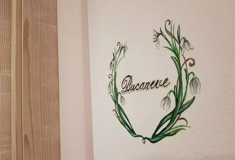 B&b Bucaneve