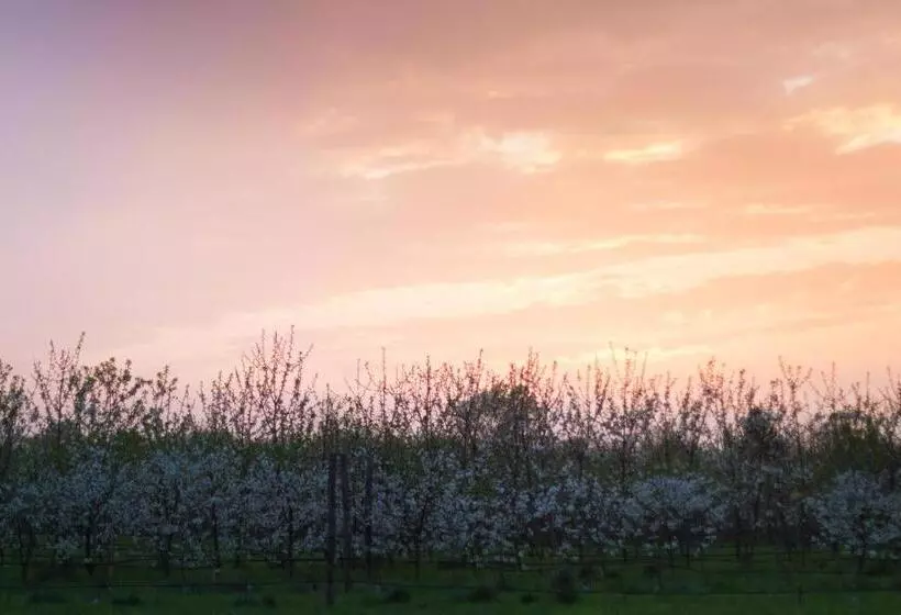 ベッドアンドブレックファースト Cascina Delle Mele