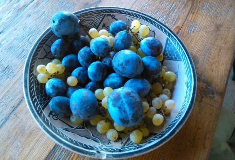 ベッドアンドブレックファースト Cascina Delle Mele