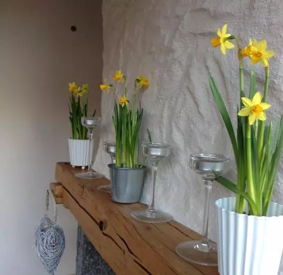 Aamiaismajoitus (B&B) La Corte Di Nonna Gemma   Holiday Home