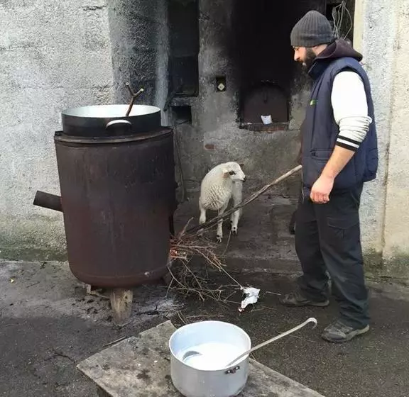 ベッドアンドブレックファースト Wundergarten Dimora Dei Frati