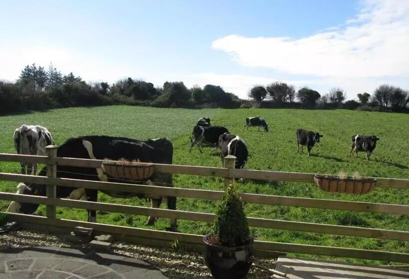 Farmstead Lodge B&b