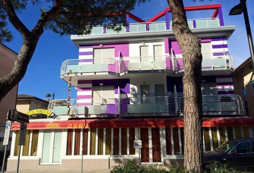 Отель Fortuna