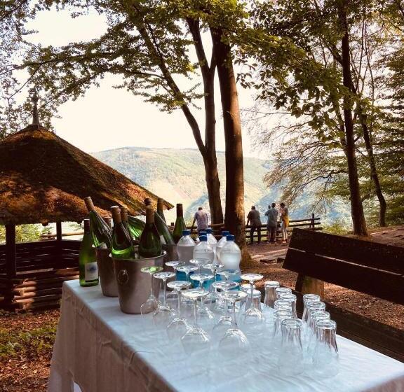 Отель Haus Burg Metternich