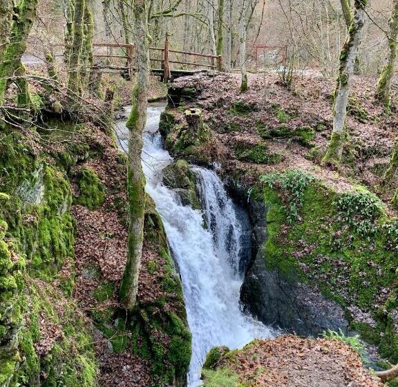Отель Haus Burg Metternich