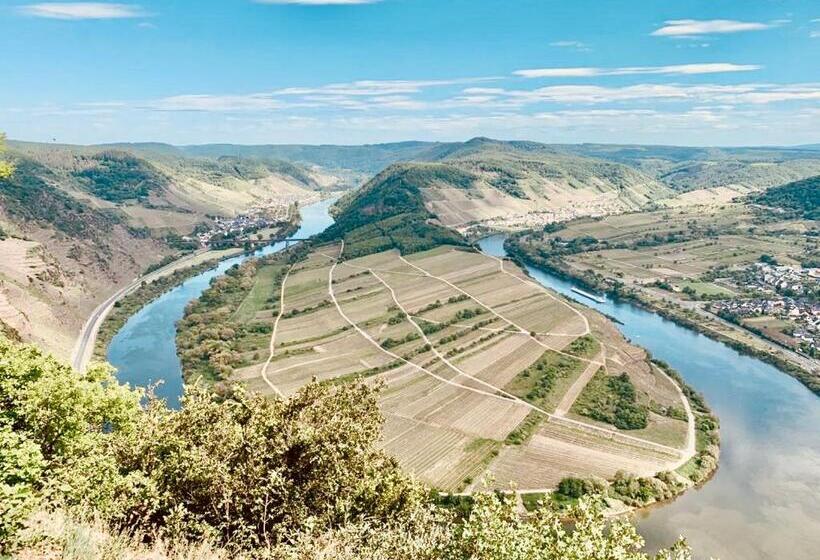 Отель Haus Burg Metternich