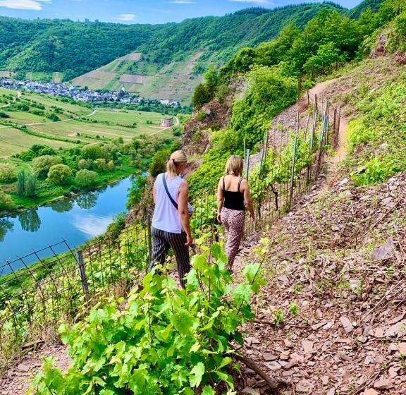 Отель Haus Burg Metternich