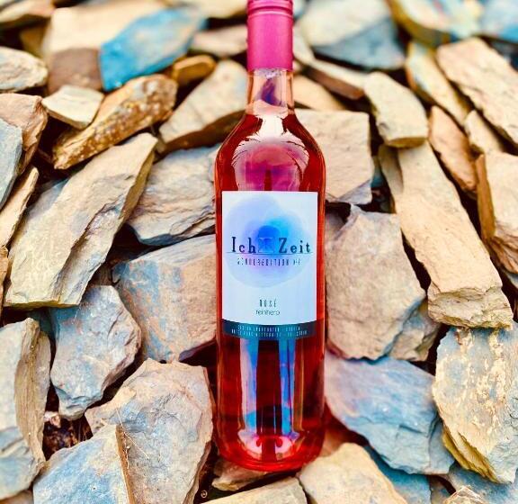 Отель Haus Burg Metternich