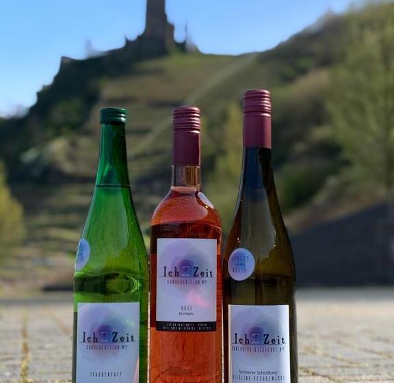 Отель Haus Burg Metternich