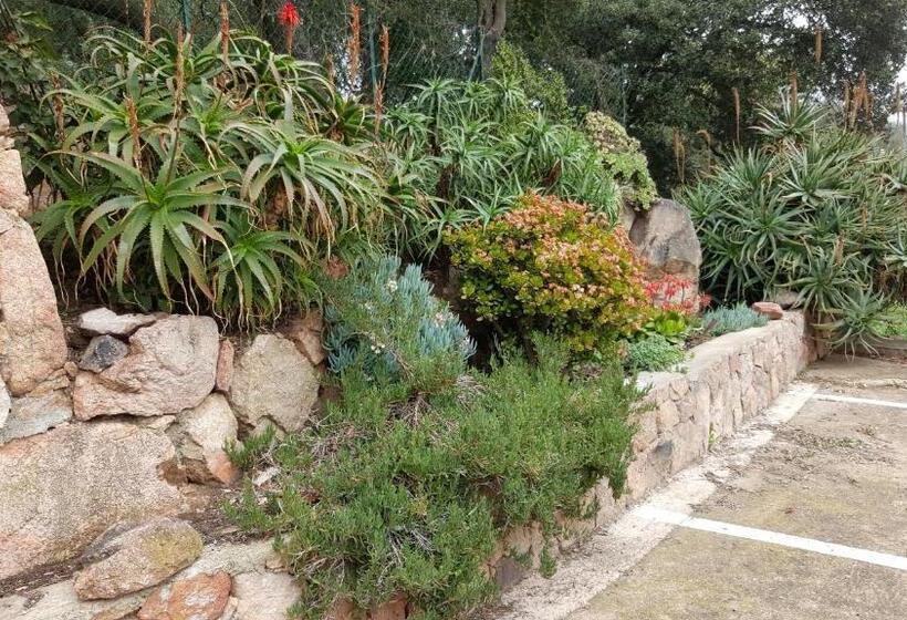 هتل Corsica Hostel Porto Vecchio, Partie Dortoirs