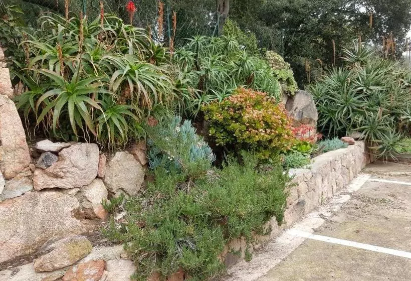 Hotelli Corsica Hostel Porto Vecchio, Partie Dortoirs