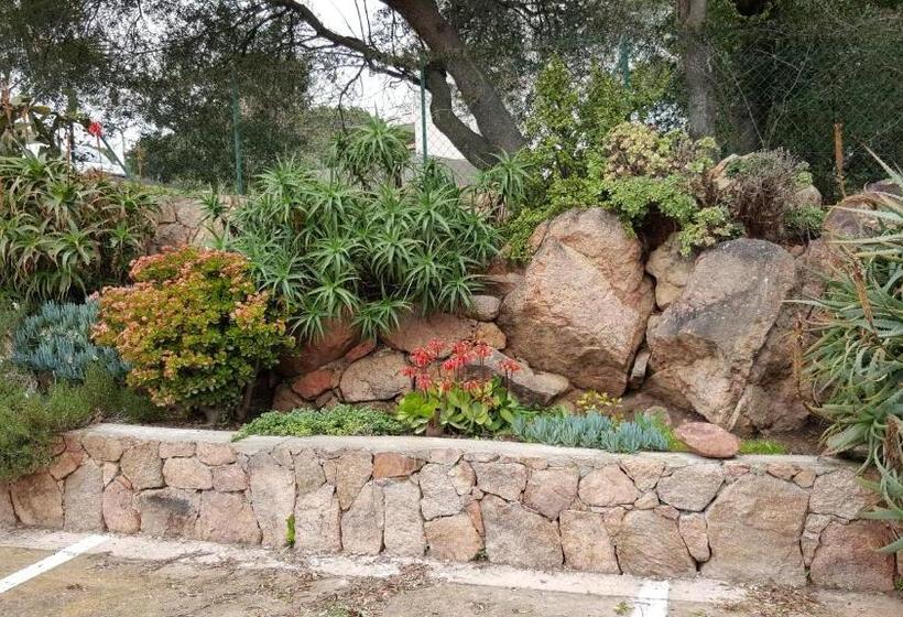 هتل Corsica Hostel Porto Vecchio, Partie Dortoirs