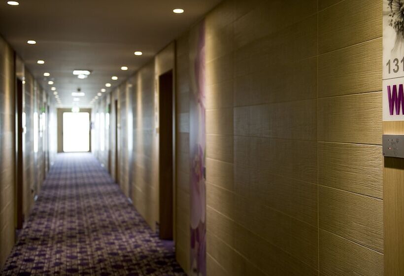 בית מלון כפרי Viola M