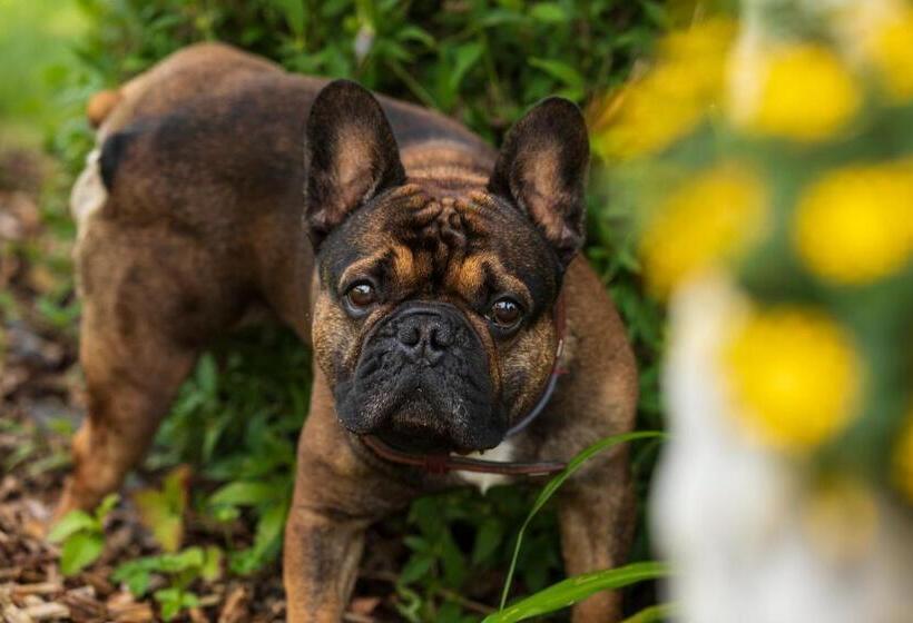 Vitalhotel Marienhof