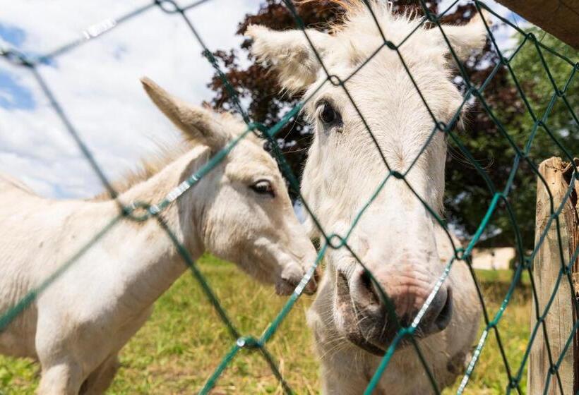 Vitalhotel Marienhof