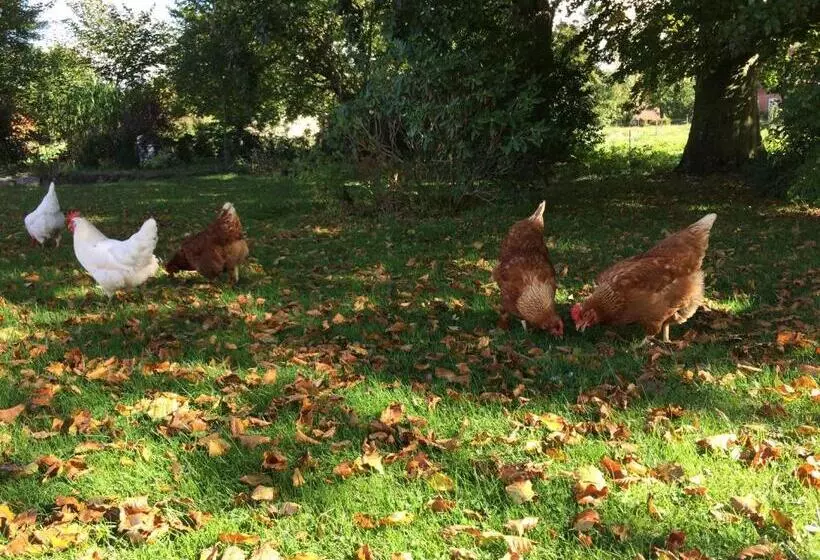 Aamiaismajoitus (B&B) Rødkærgård Bed&breakfast