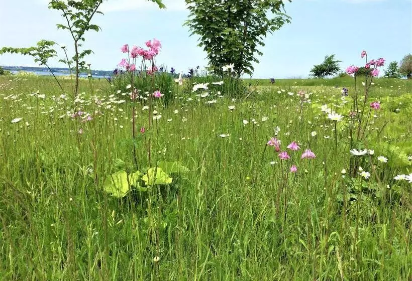 Aamiaismajoitus (B&B) Rødkærgård Bed&breakfast