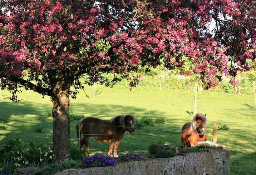 ベッドアンドブレックファースト Rødkærgård Bed&breakfast