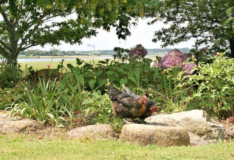 ベッドアンドブレックファースト Rødkærgård Bed&breakfast