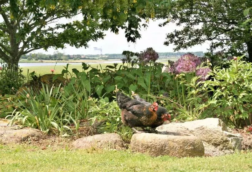 Aamiaismajoitus (B&B) Rødkærgård Bed&breakfast