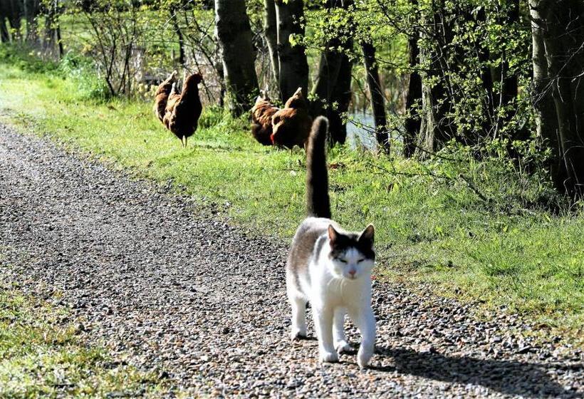 ベッドアンドブレックファースト Rødkærgård Bed&breakfast