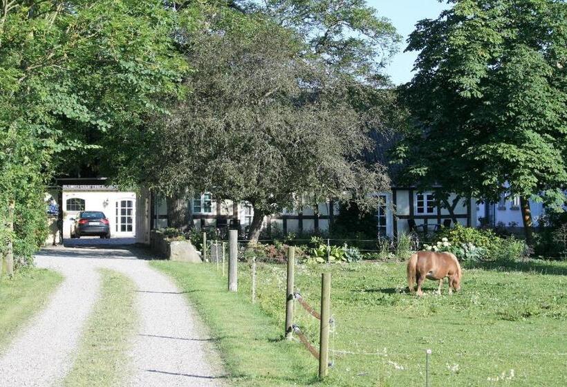 ベッドアンドブレックファースト Rødkærgård Bed&breakfast