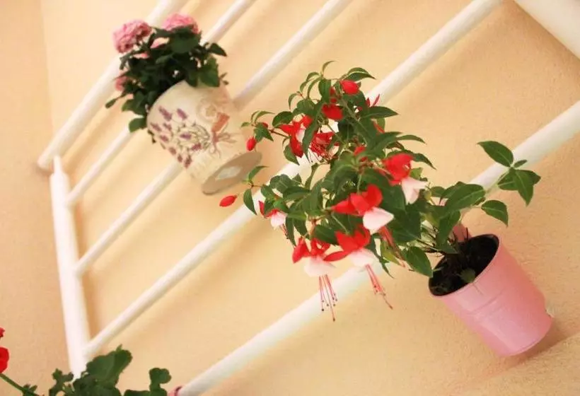Dalila Apartman Mostar
