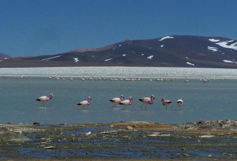 בית מלון כפרי Pircas Negras