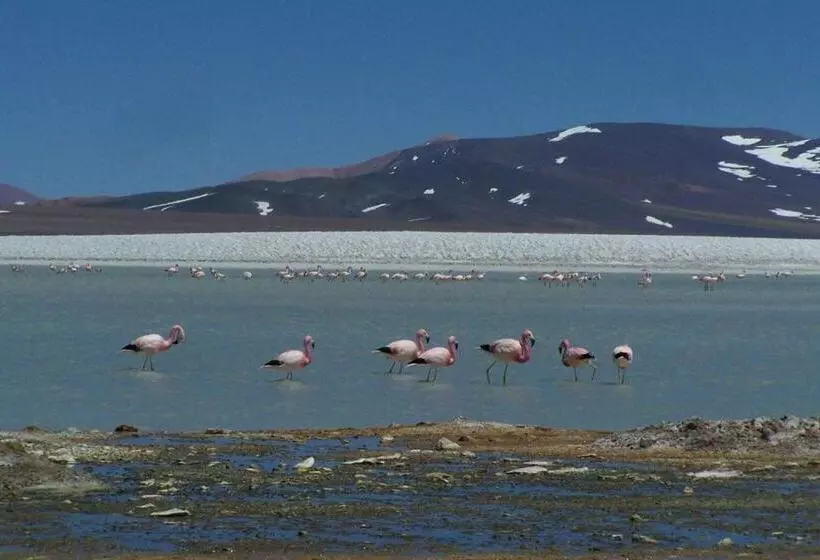 هتل Pircas Negras