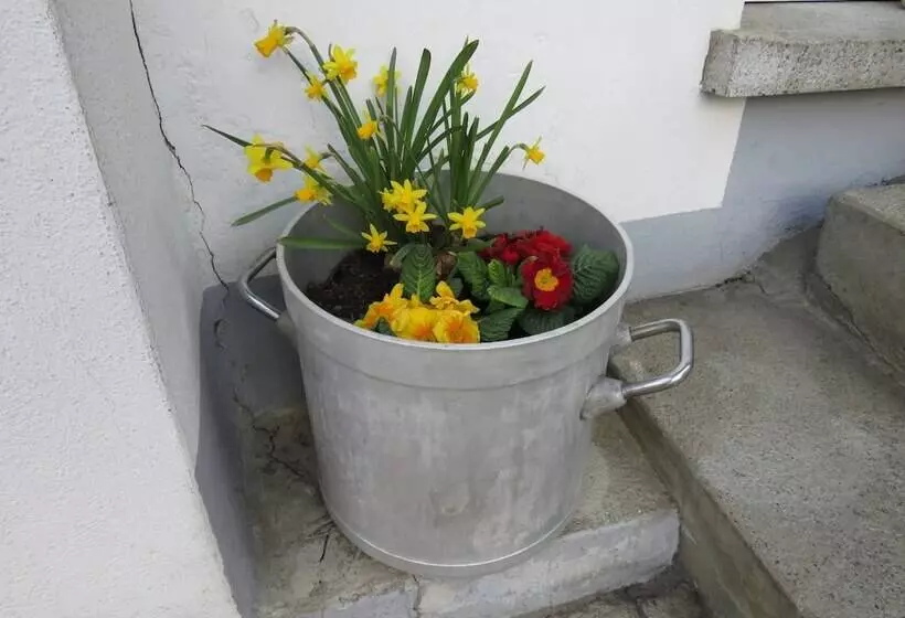 Hotelli Gasthof Baren