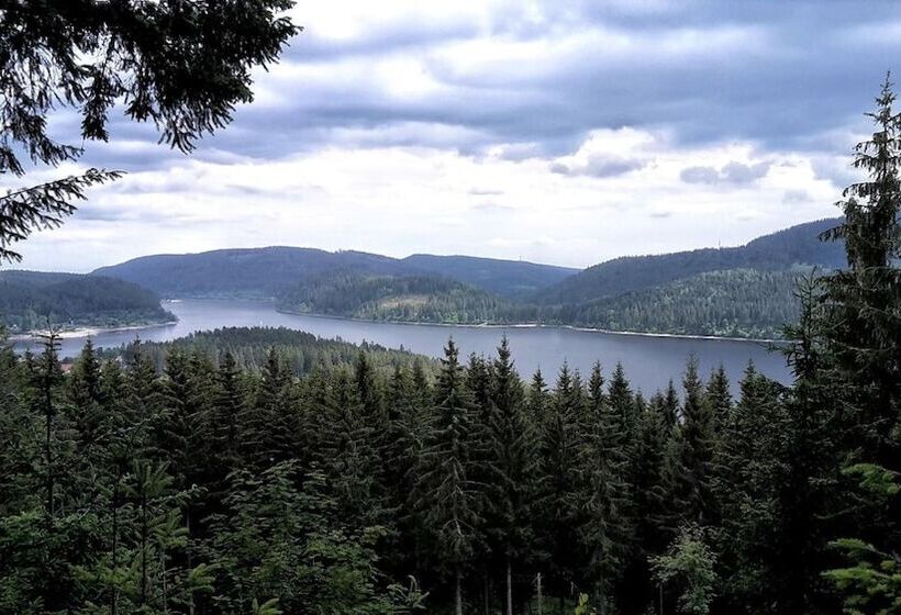 酒店 Hochschwarzwald Hof