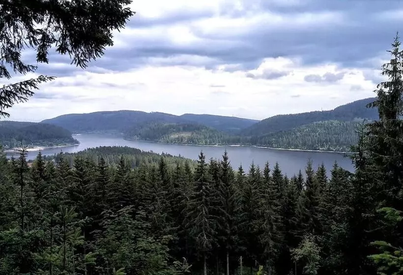 Hotelli Hochschwarzwald Hof