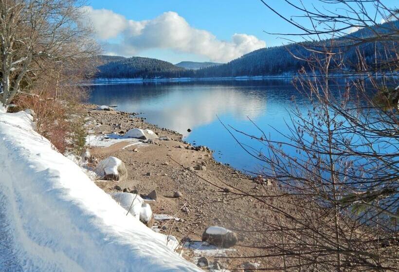酒店 Hochschwarzwald Hof