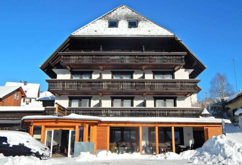 酒店 Hochschwarzwald Hof
