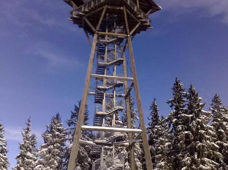 Hotelli Hochschwarzwald Hof