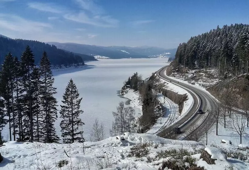 Hotelli Hochschwarzwald Hof