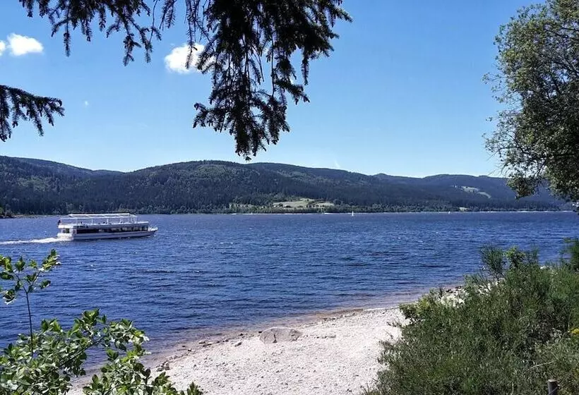 Hotelli Hochschwarzwald Hof