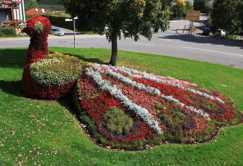 Hotelli Hochschwarzwald Hof