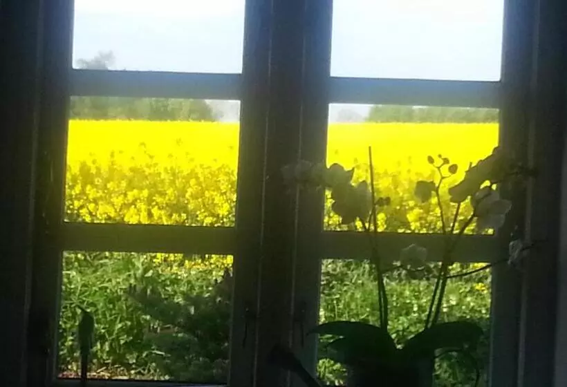 Jungshoved Kro B&b