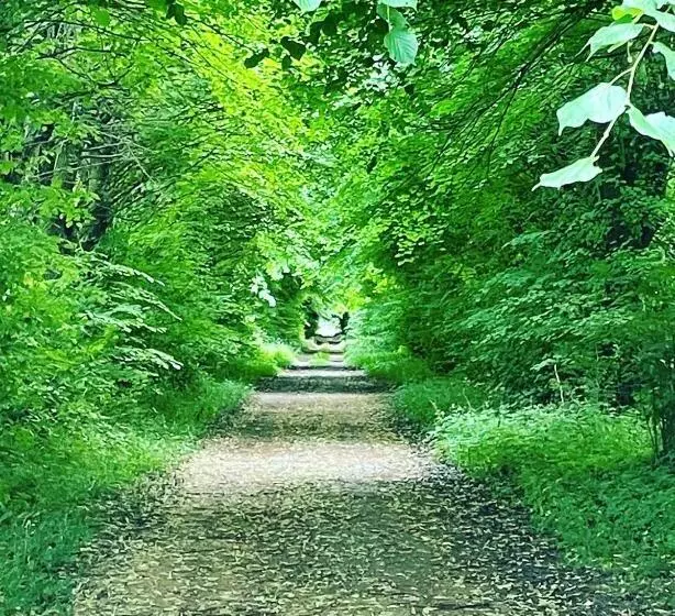 Skorstensfejerens Bed & Breakfast