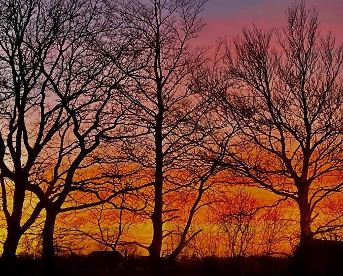 Skorstensfejerens Bed & Breakfast