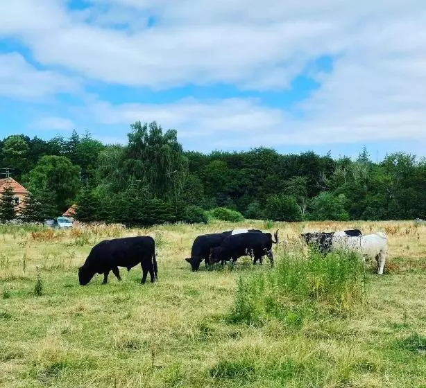 Skorstensfejerens Bed & Breakfast