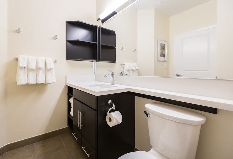 Hotel Candlewood Suites Buda Austin Sw, An Ihg