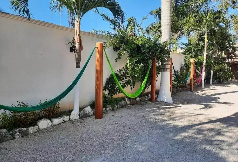 هتل Casa Lima Bacalar
