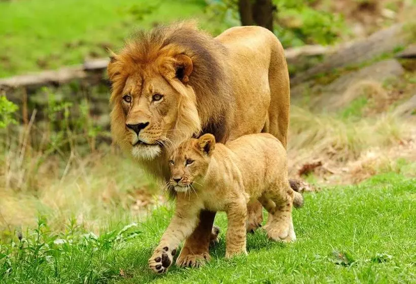 Hotelli Holiday Inn Express  Bronx Nyc  Yankee Stadium, An Ihg