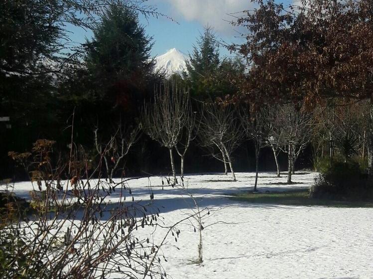 旅馆 Hostal Möller