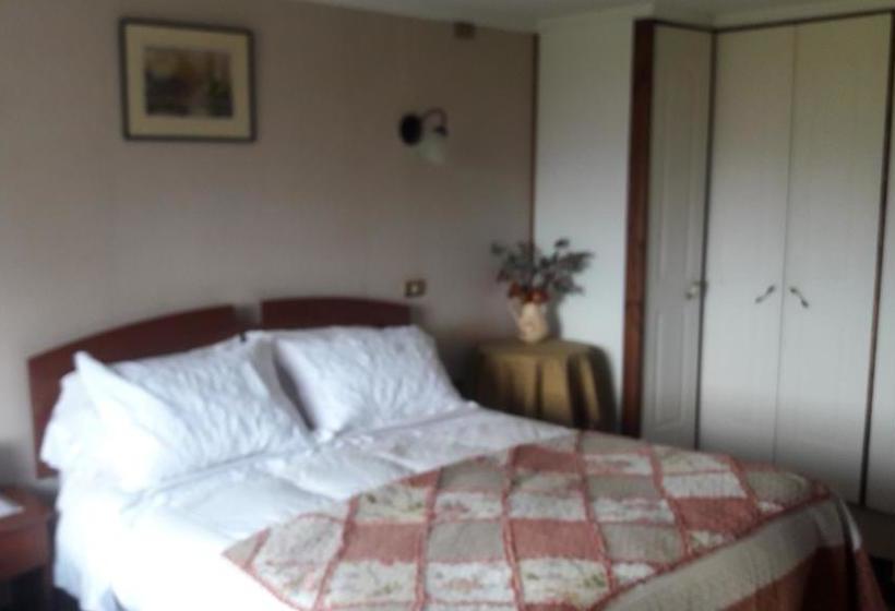 旅馆 Hostal Möller