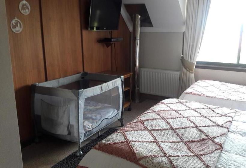 旅馆 Hostal Möller