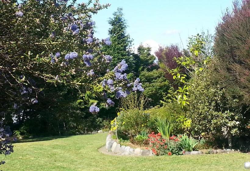 旅馆 Hostal Möller