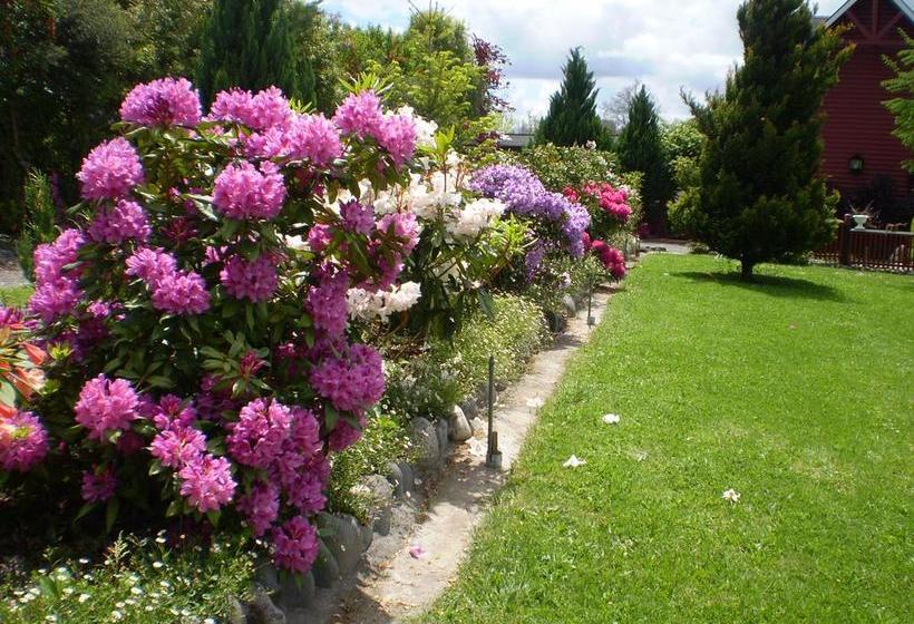 旅馆 Hostal Möller